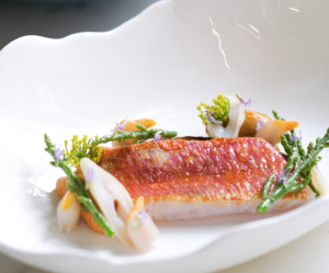 Plat thibaut Gamba